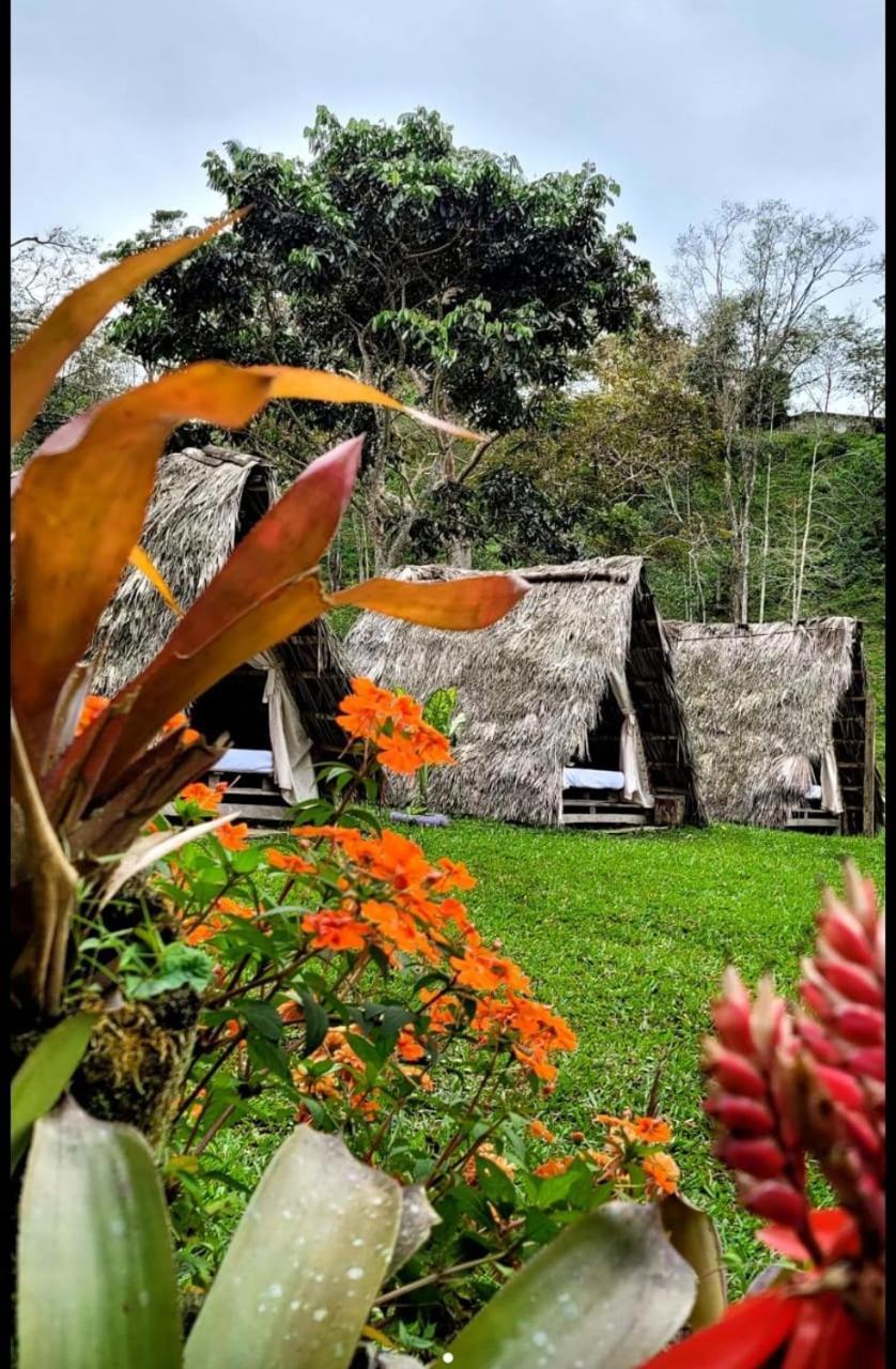 Rancho Porvenir Bed and Breakfast Mocoa Εξωτερικό φωτογραφία